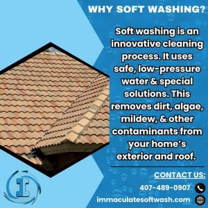 Why Soft Washing Works