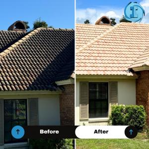 Stunning Wekiva Springs Roof Transformation!