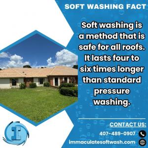 Soft Washing Fact from Immaculate SoftWash