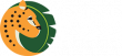 Elmwood Park Zoo Creates a Winter Wonderland