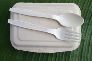 Biodegradable Plastics Market Opportunities