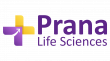Prana Life Sciences Named ‘Major Contender’ in Everest Group’s 2025 Veeva Service Provider PEAK Matrix® Assessment