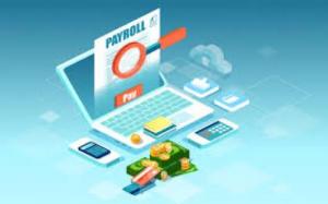 Payroll and Accounting Services  Market