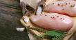 Steel Price Trends and Their Impact on the Class 8 Trailer Industry: What Poultry Producers Should Know