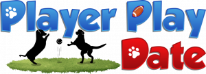 Player Play Date-Logo