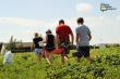 Agritourism Market Sustainable Growing at 12.5% CAGR, Estimated to Reach $111.1 Bn by 2032