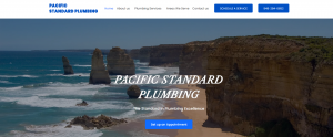 Pacific Standard Plumbing Website Marketing by GoMarketing