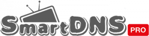 SmartDNs logo