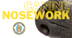 Wiggle Butt Academy lanches canine nosework for dogs off all ages