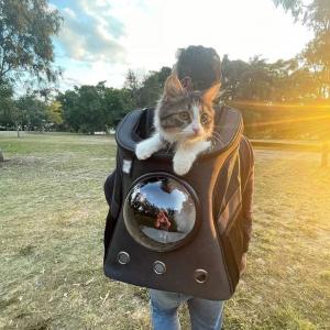 Zoospot | Cat travel products