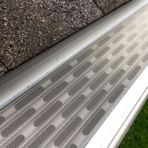 gutter cleaning in the fall