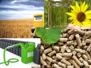Biomass Solid Fuel Market Insights
