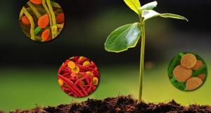 Biostimulants Market Insights