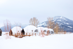 Tammah Jackson Hole - Winter