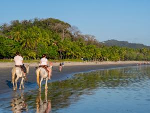 Horses Travelers Costa Rica Vacation