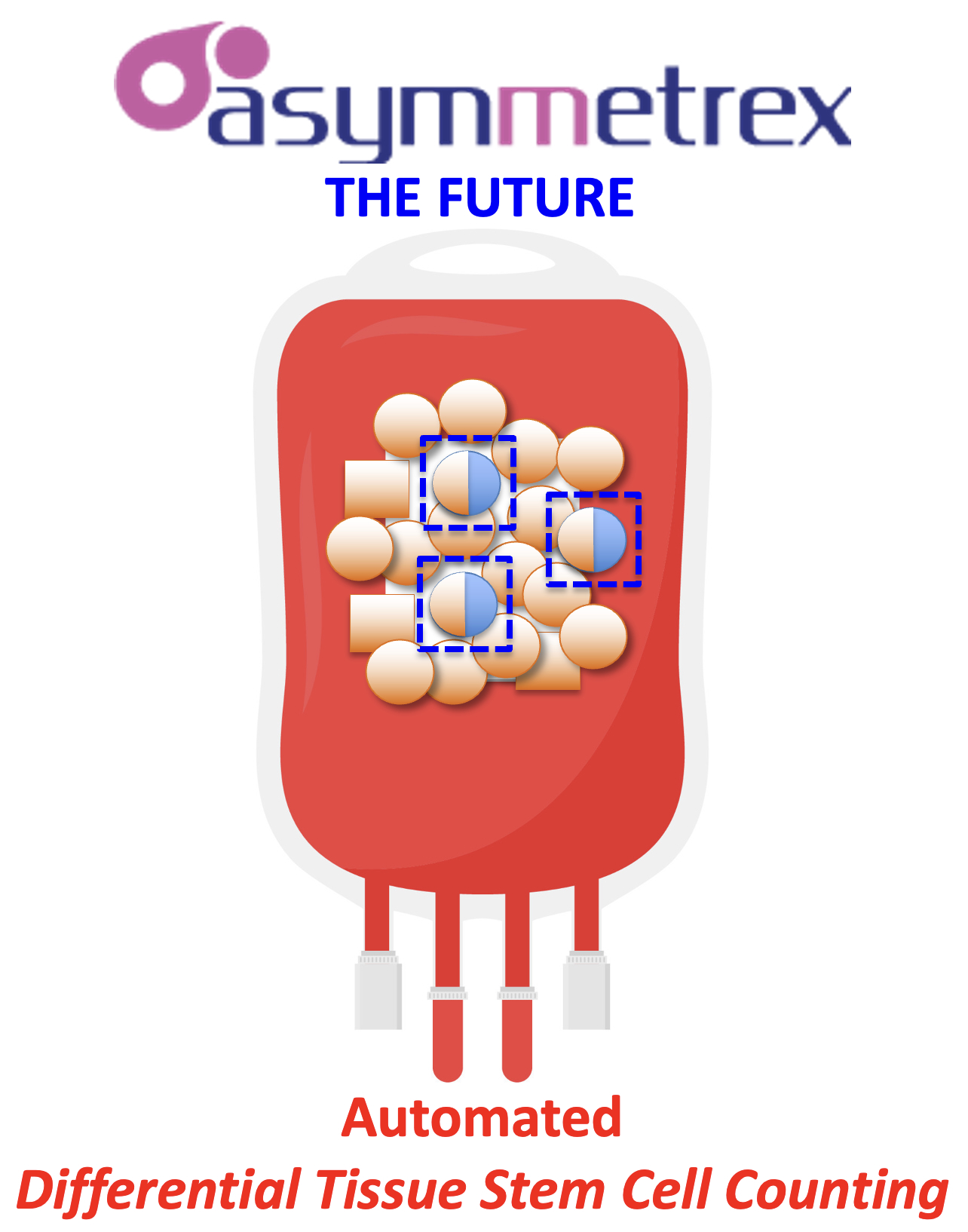 Asymmetrex® Awarded $1.8M NIH-NHLBI SBIR Phase II Grant to 