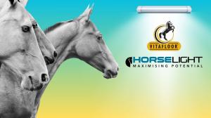 21661599 horselight partnership