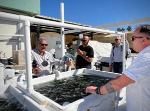 Blue Evolution and Apanui leadership visit an onshore regenerative seaweed farming facility