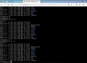 remote access IoT 11