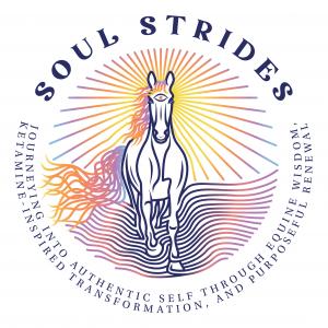 Soul Strides Journey logo featuring a horse with a radiant third eye, surrounded by colorful rays, symbolizing the integration of equine wisdom, ketamine-assisted transformation, and purposeful healing.