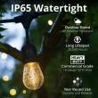 WINTERGREEN ANNOUNCES NEW S14 LED EDISON-STYLE PATIO STRING LIGHTS