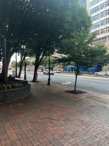 silverspring2