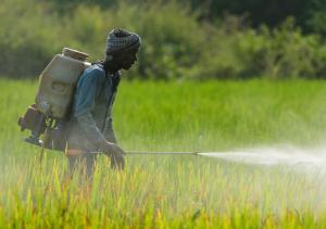 Agrochemicals Market Insight