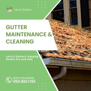 21792749 maintenance cleaning