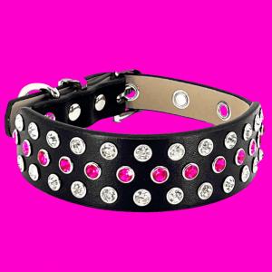 Dazzle Paws Fuchsia Hot Pink Rhinestone Dog Collar