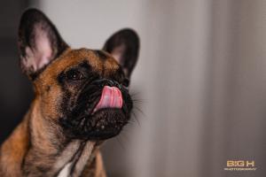 2 - Big H Photography