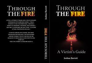 Through The Fire A Victim's Guide By Joshua Bareett