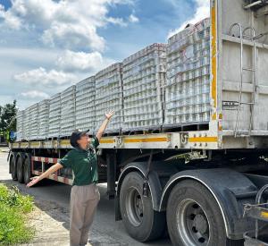 Scholars of Sustenance rescued 4.8 million cans of corn