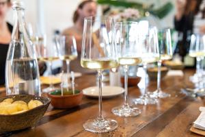 Wine Tasting at Almavite Winery