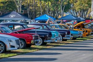 Rows of classic cars