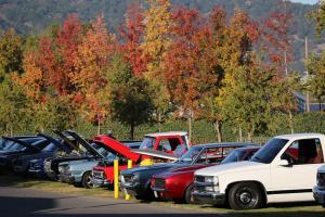 Rows of classic cars