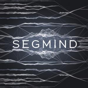 Segmind in digital blueprint