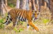 Karnataka Tourism to Host Exclusive Roadshow in Kolkata to Engage Travel Trade