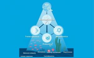 Multi-Omics Integration in Nanoplastic Toxicity Analysis