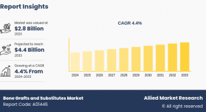 Bone Grafts And Substitutes Market Research, 2033