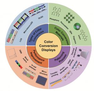 Figure 1 | The main content of this review.