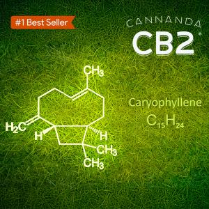 Cannanda CB2 products are based on an emerging health compound called beta-caryophyllene (BCP). Visit <a href=