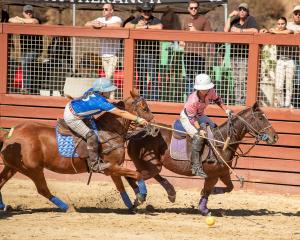 One woman arena polo player reaches out with her mallet to stop the other player from hitting the ball