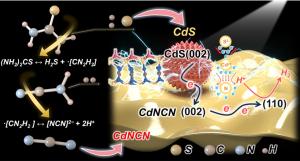 Fig 1. The schematic diagram illustrates the synthesis of a CdNCN-CdS composite photocatalyst (NCN-Cd-S) with an atomic-level heterostructure and its enhancement in the photocatalytic hydrogen evolution.