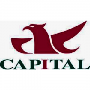 Capital Securities Corporation company logo