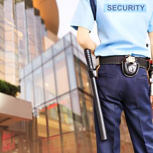 mall security services