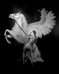 Paal Anand - Andromeda Rears Pegasus
