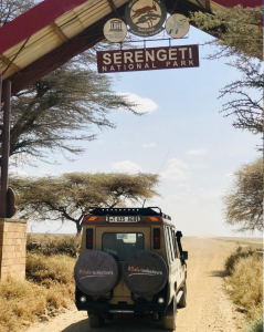 Iconic Serengeti National Park