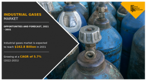 Industrial Gases Market Insights