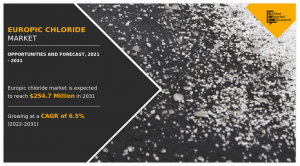 Europic Chloride Industry Analysis