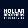 Hollar Brothers Tree Service Issues Holiday Lighting Safety Reminder as Decorating Season Begins